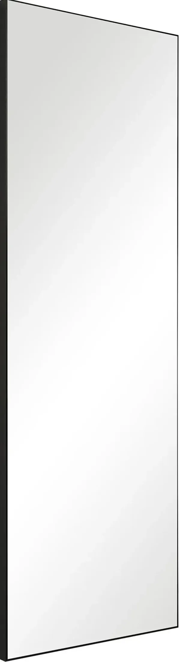 Barrymore 60'' x 20'' Wall Mirror