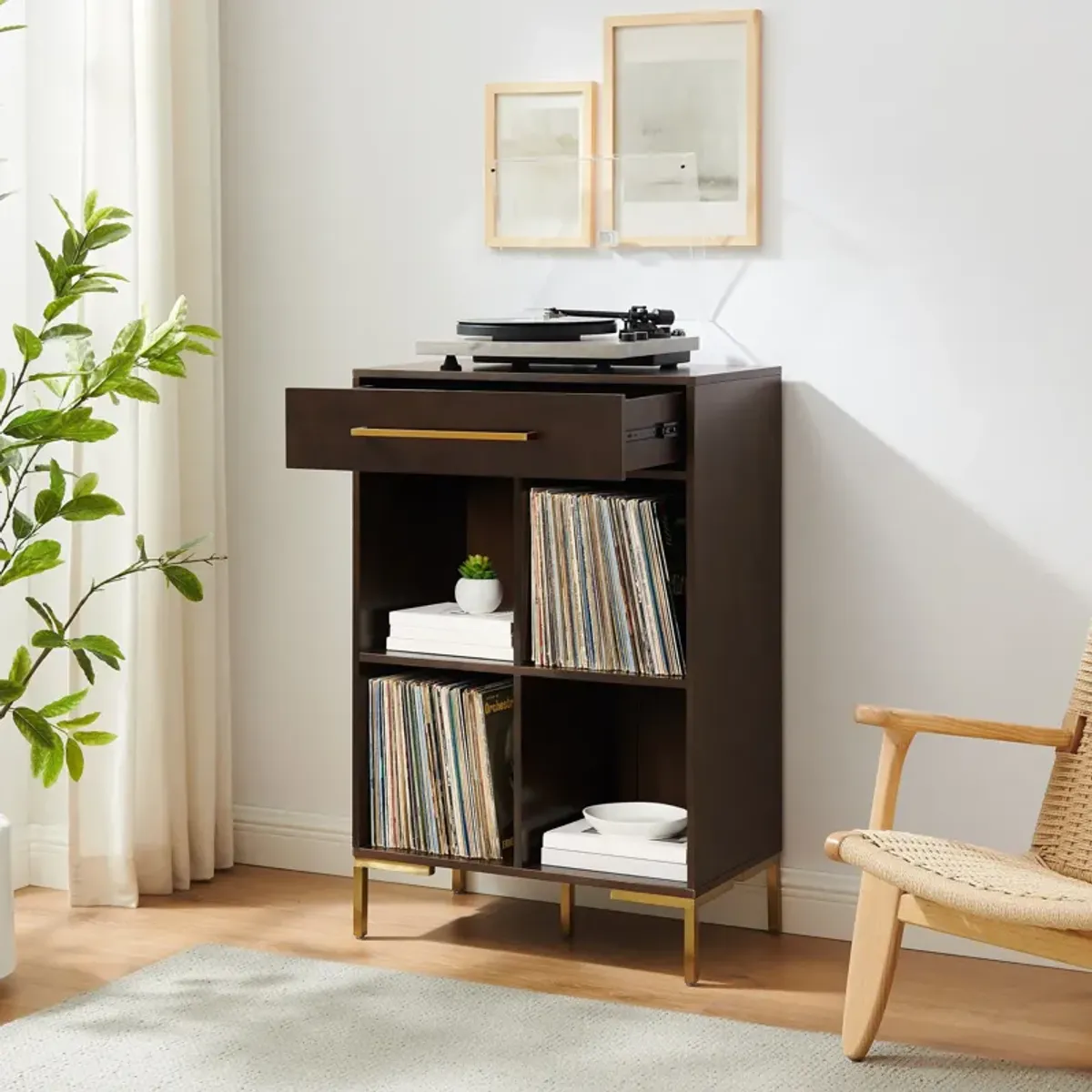 Avni Record Storage Bookcase - Dark Brown