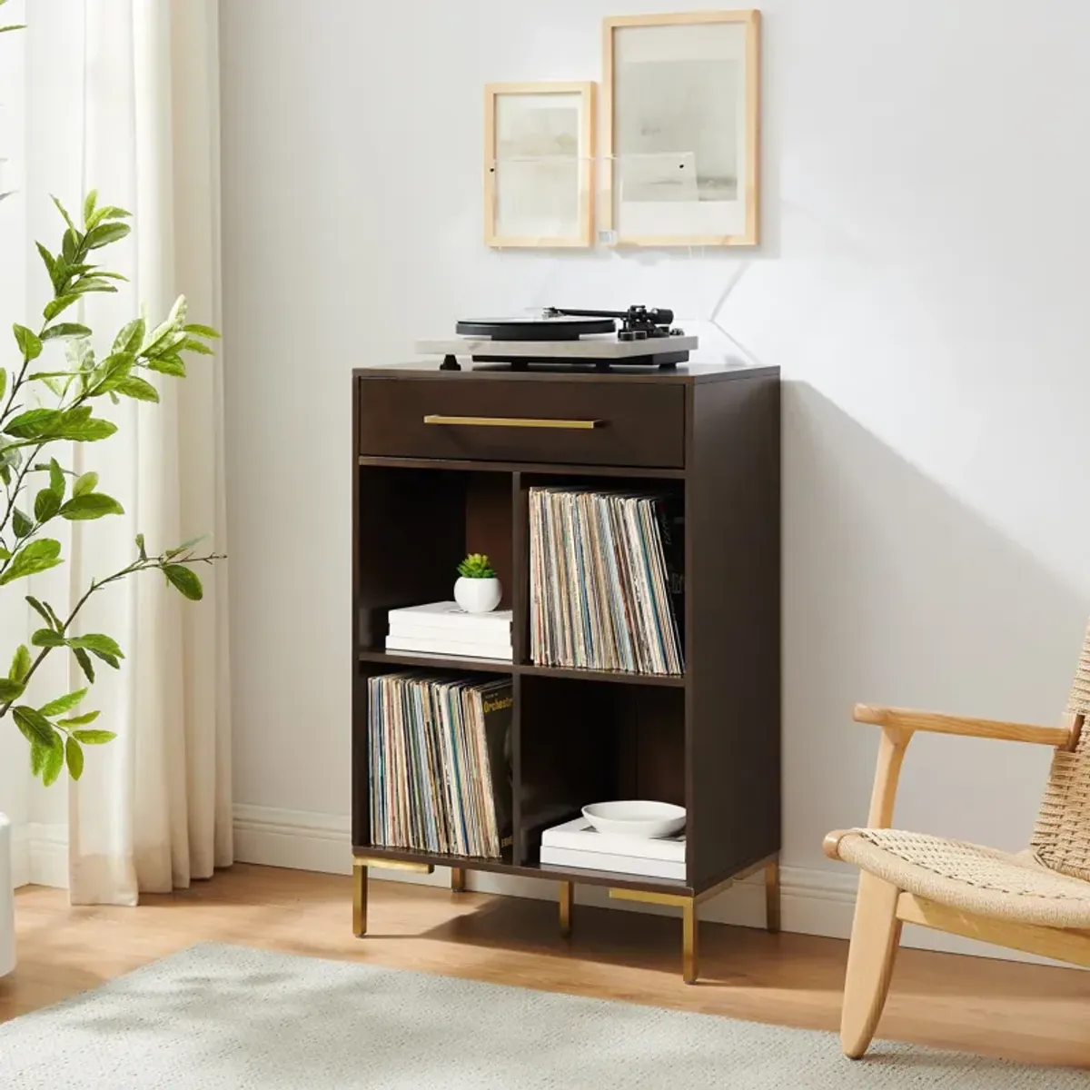 Avni Record Storage Bookcase - Dark Brown