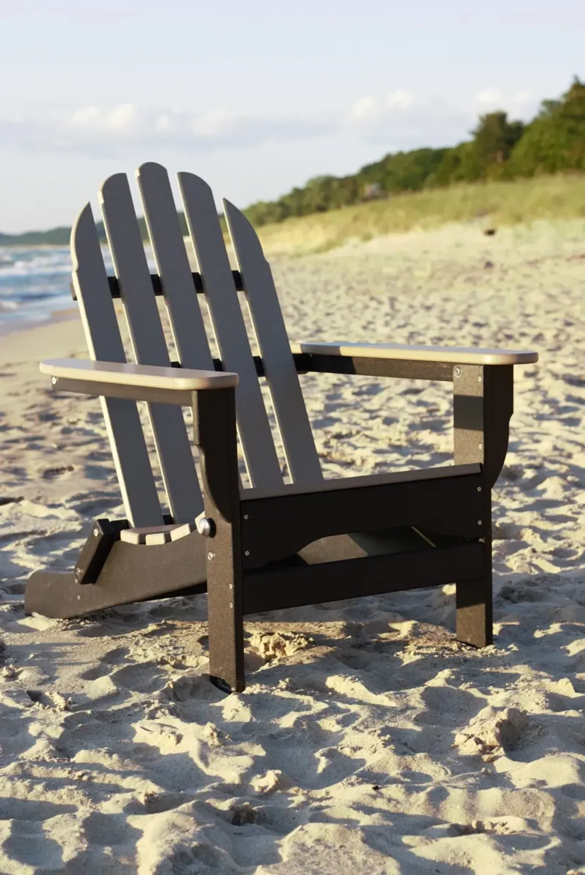 Raleigh Outdoor Folding Adirondack Chair - Black/Wood