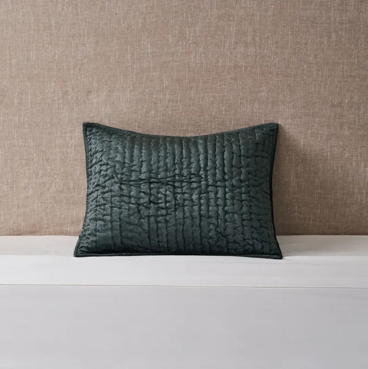 Bari Velvet Standard Pillow Sham - Bay Green