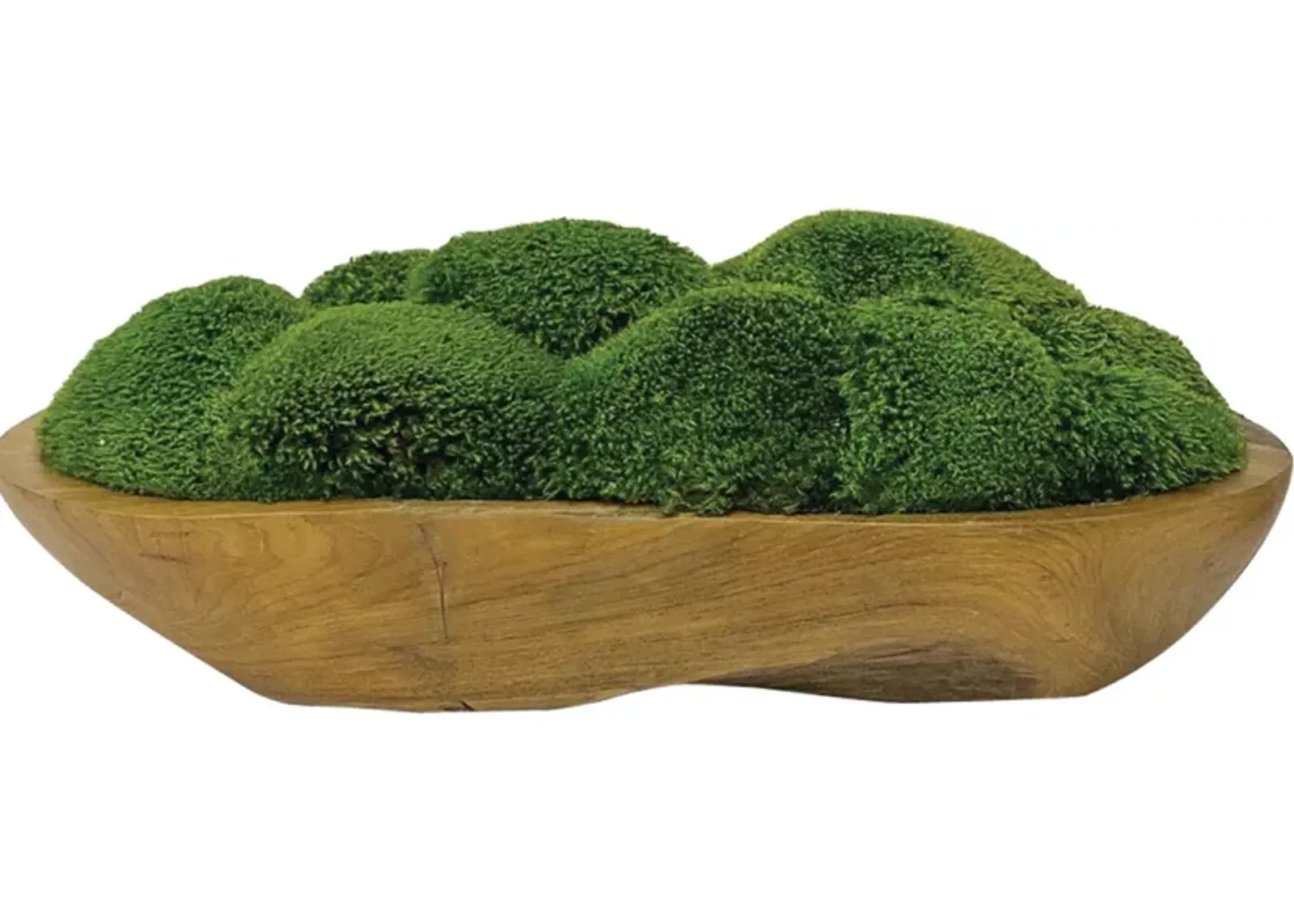 Kinsale Moss Centerpiece