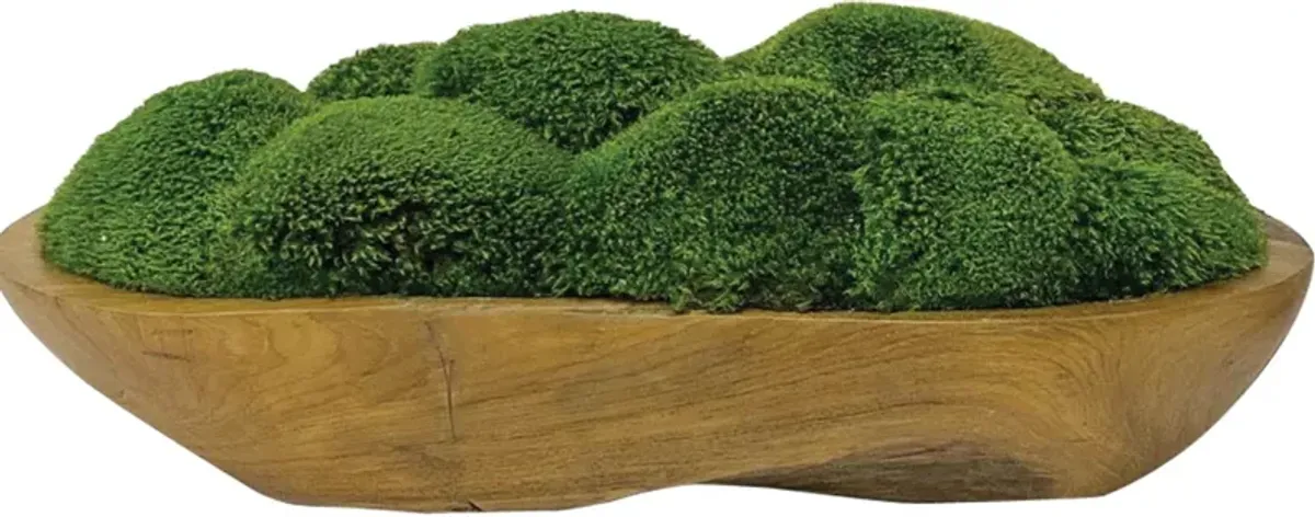 Kinsale Moss Centerpiece