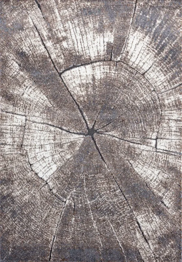 Tirzah 8' x 11' Area Rug - Brown/Beige