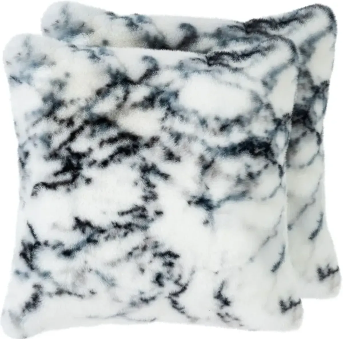Caesar 2-Pack 20" x 20" Accent Pillows