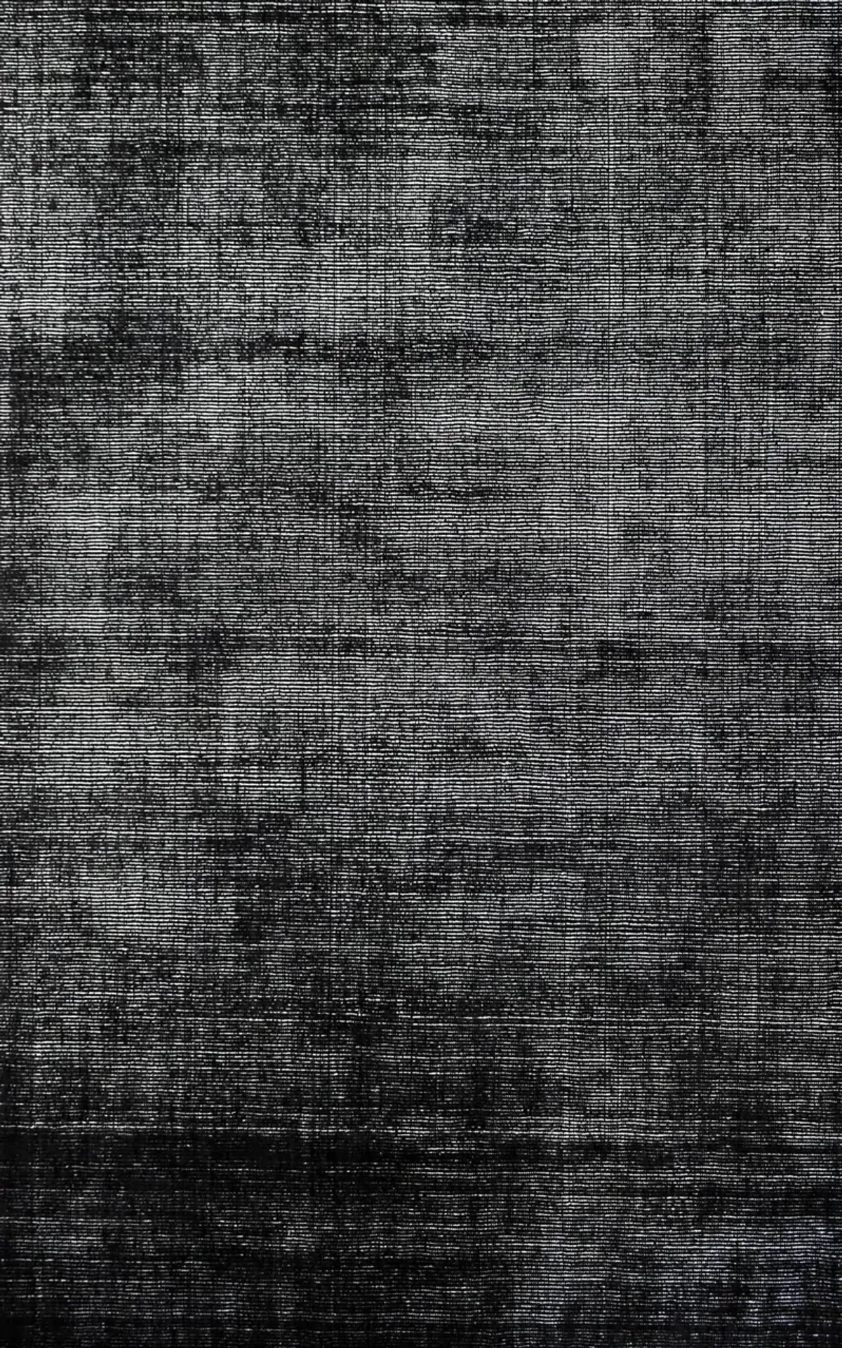 Novara 5' x 8' Area Rug - Black/White