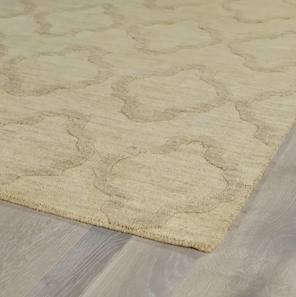 Clever 2' x 3' Area Rug - Oatmeal