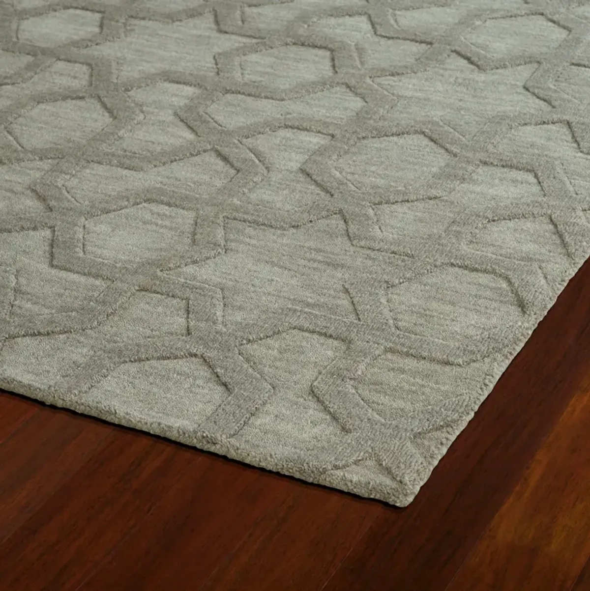 Texas 2' x 3' Area Rug - Grey