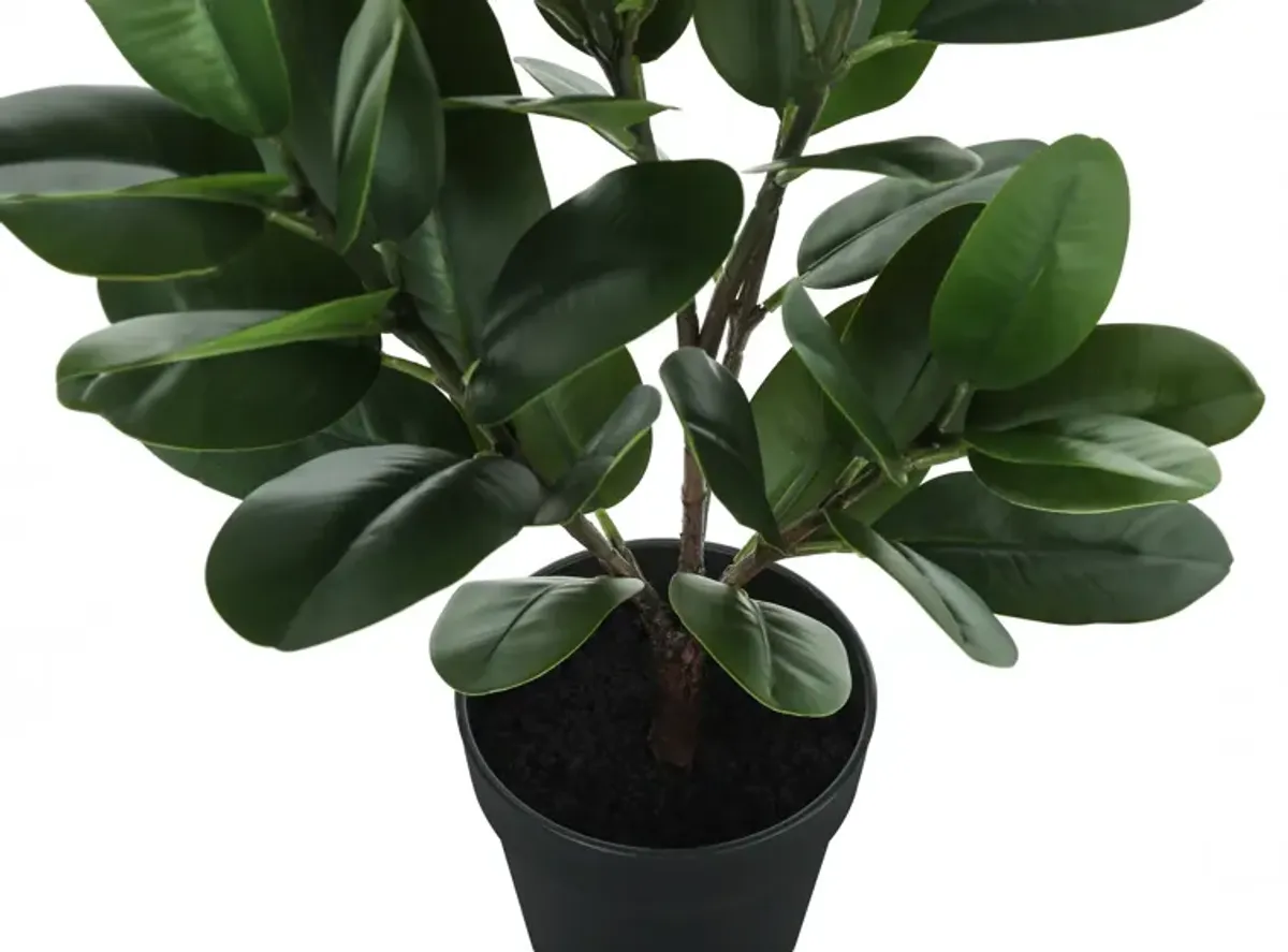 Faux 2' Garcinia Tree with Black Planter