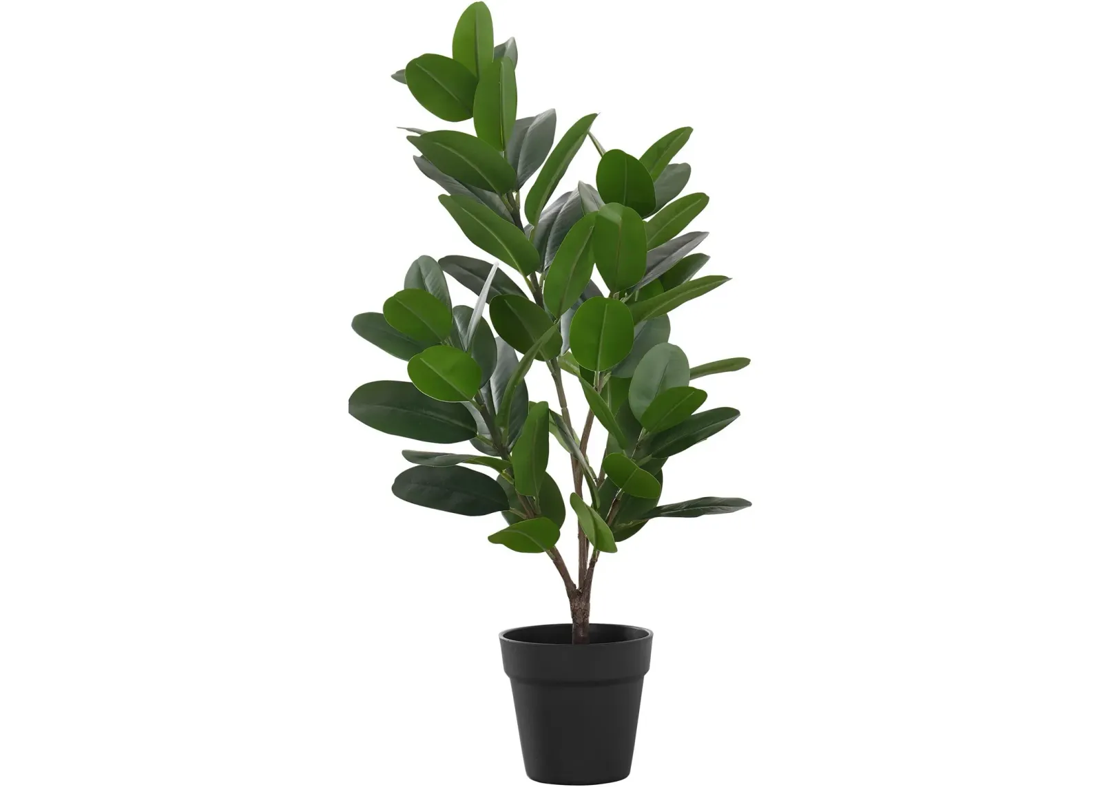 Faux 2' Garcinia Tree with Black Planter