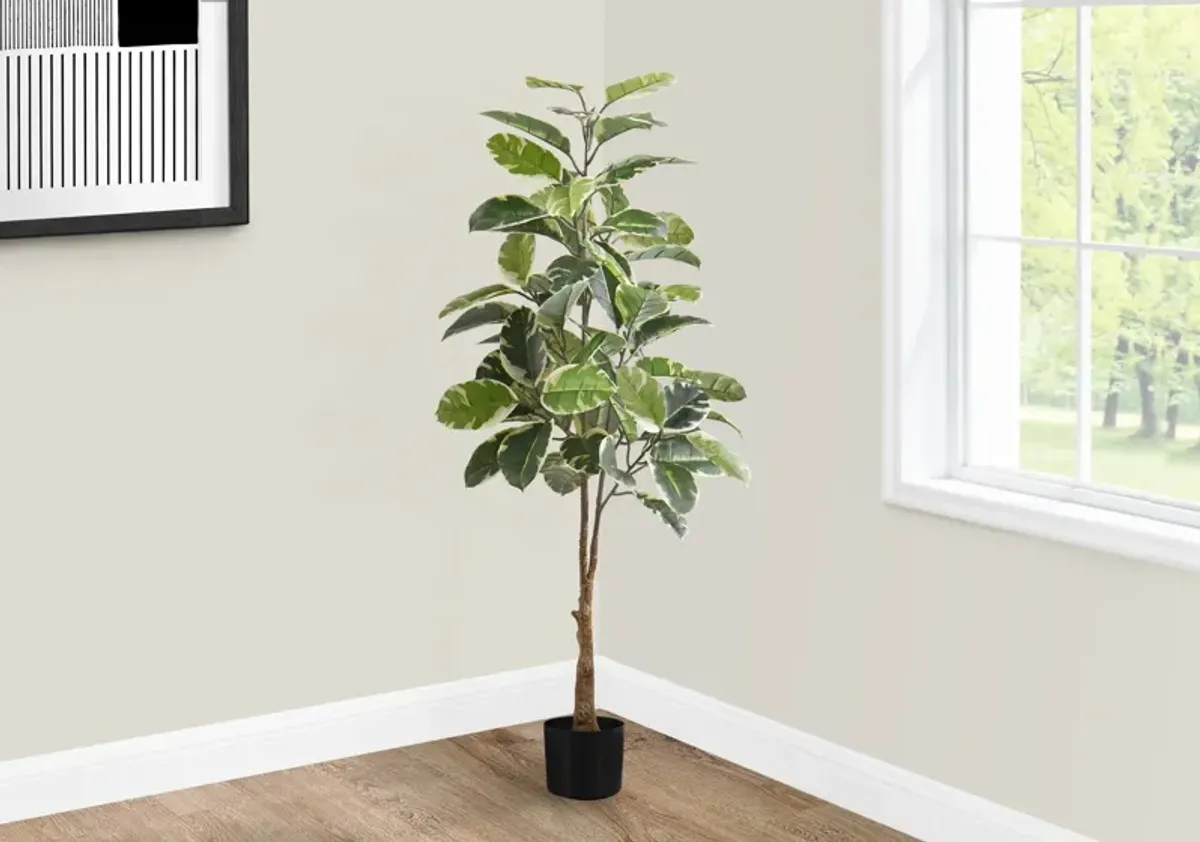 Faux 4' Rubber Tree with Black Planter