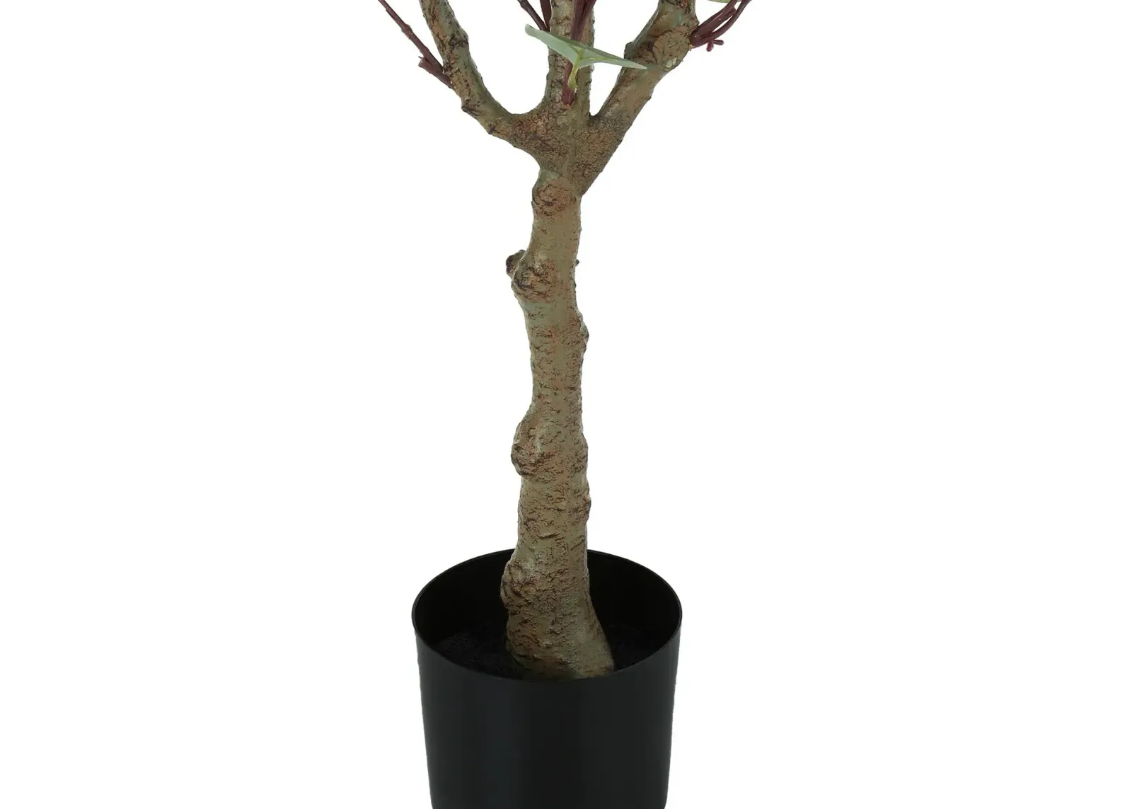 Faux 3' Eucalyptus Tree with Black Planter