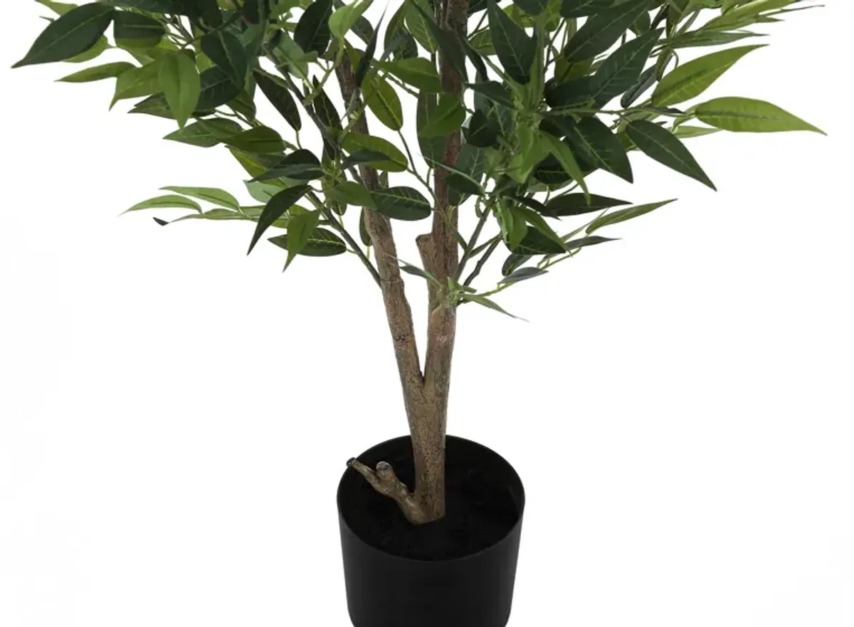 Faux 3' Acacia Tree with Black Planter