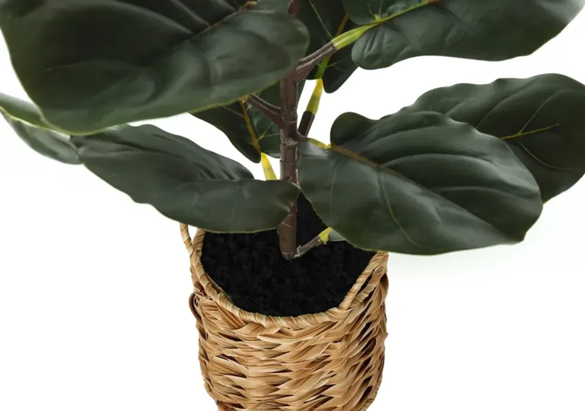 Faux 2' Fiddle Leaf Fig Tree with Woven Planter