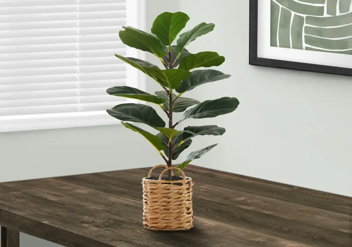 Faux 2' Fiddle Leaf Fig Tree with Woven Planter