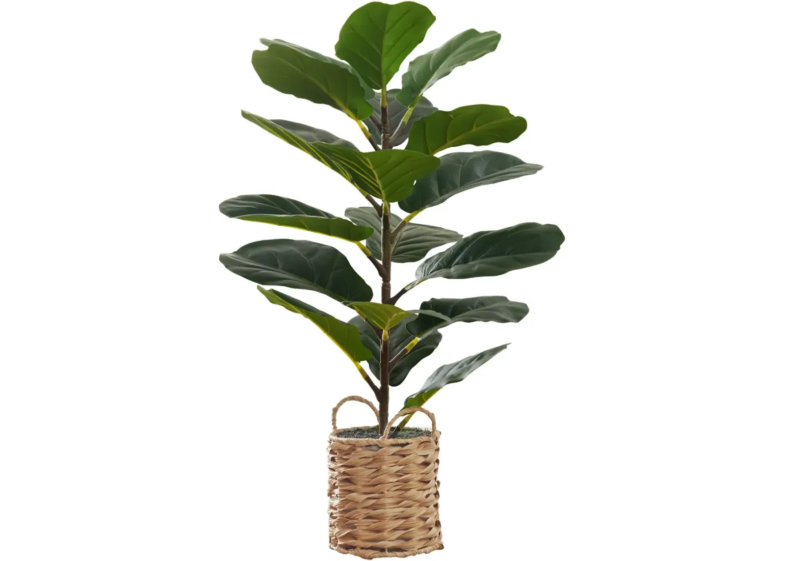 Faux 2' Fiddle Leaf Fig Tree with Woven Planter