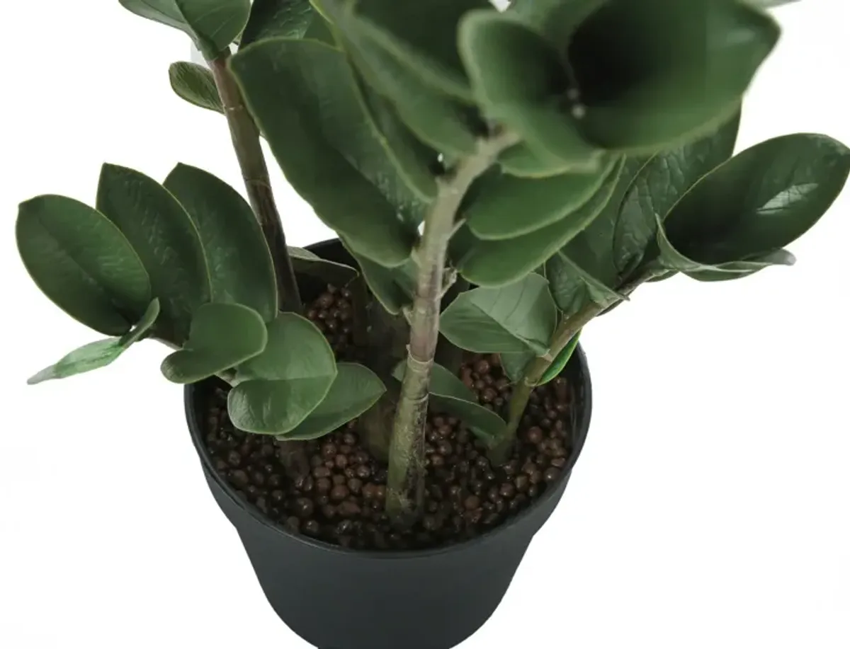 Faux 2' ZZ Plant with Black Planter