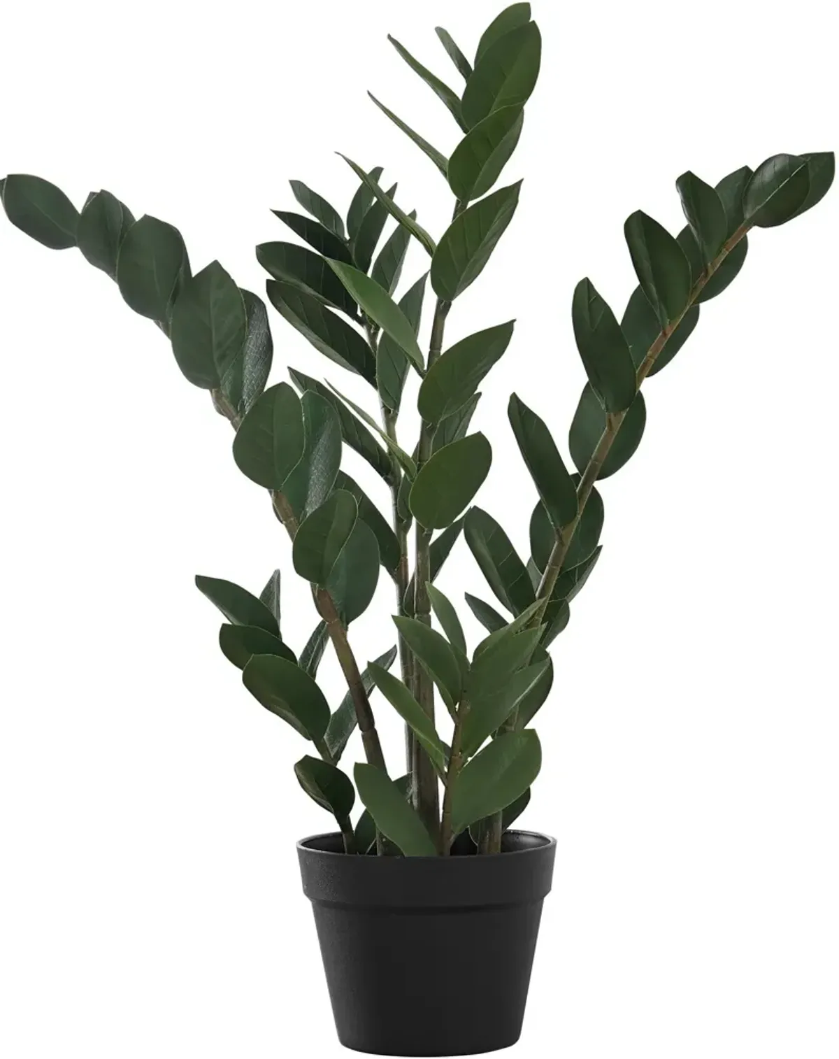 Faux 2' ZZ Plant with Black Planter