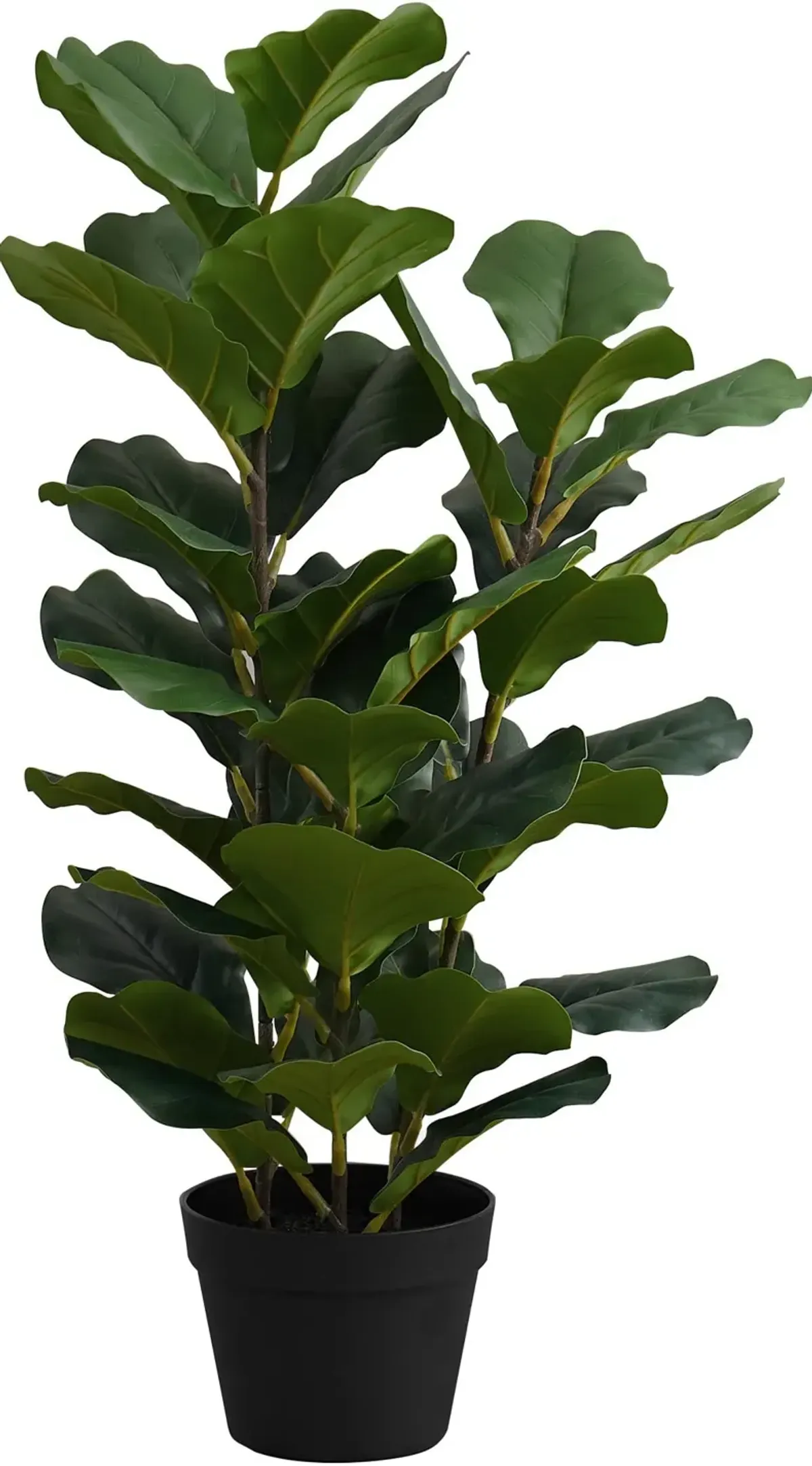 Faux 2' Fiddle Leaf Fig Tree with Black Planter