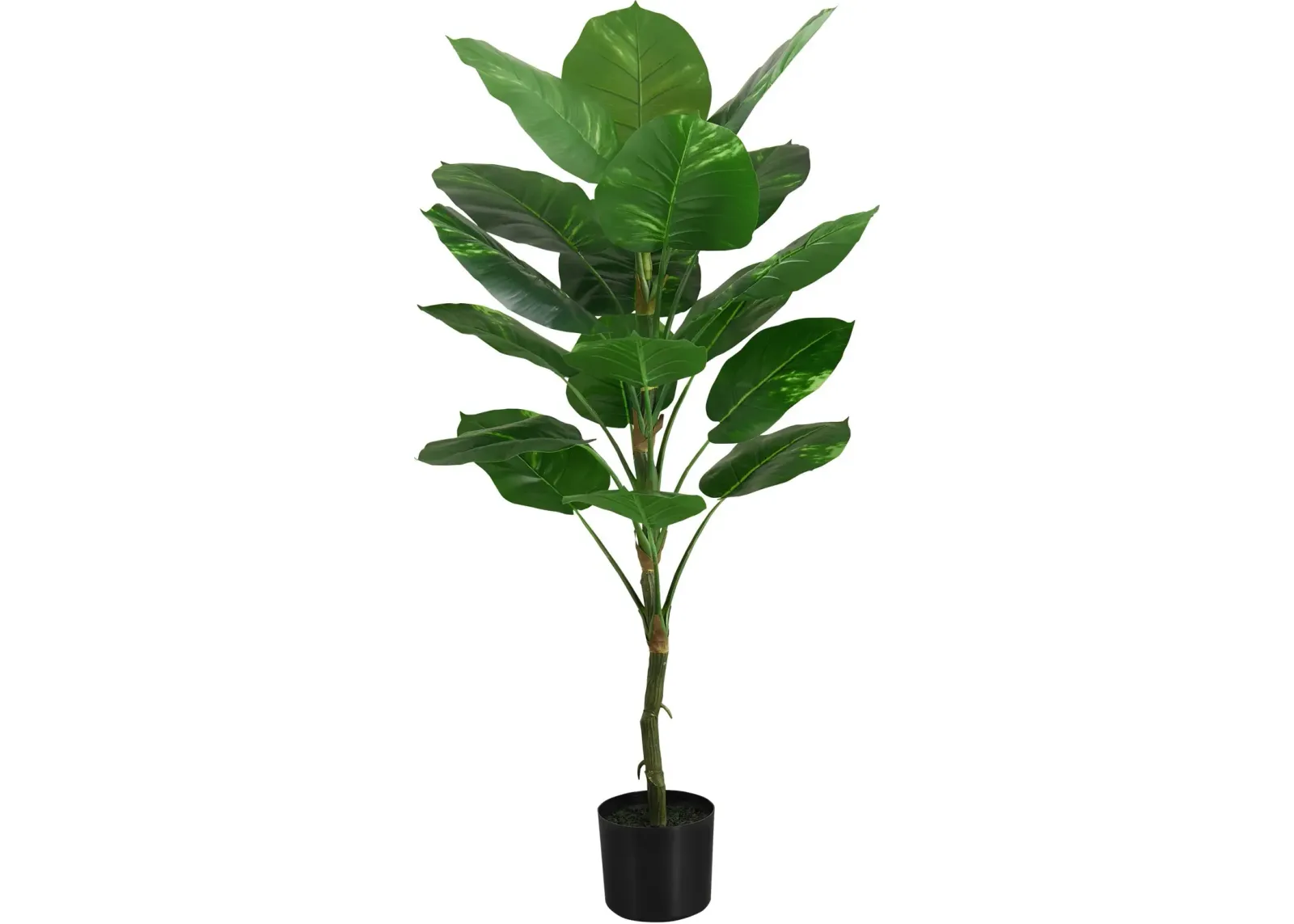 Faux 4' Dieffenbachia Tree with Black Planter