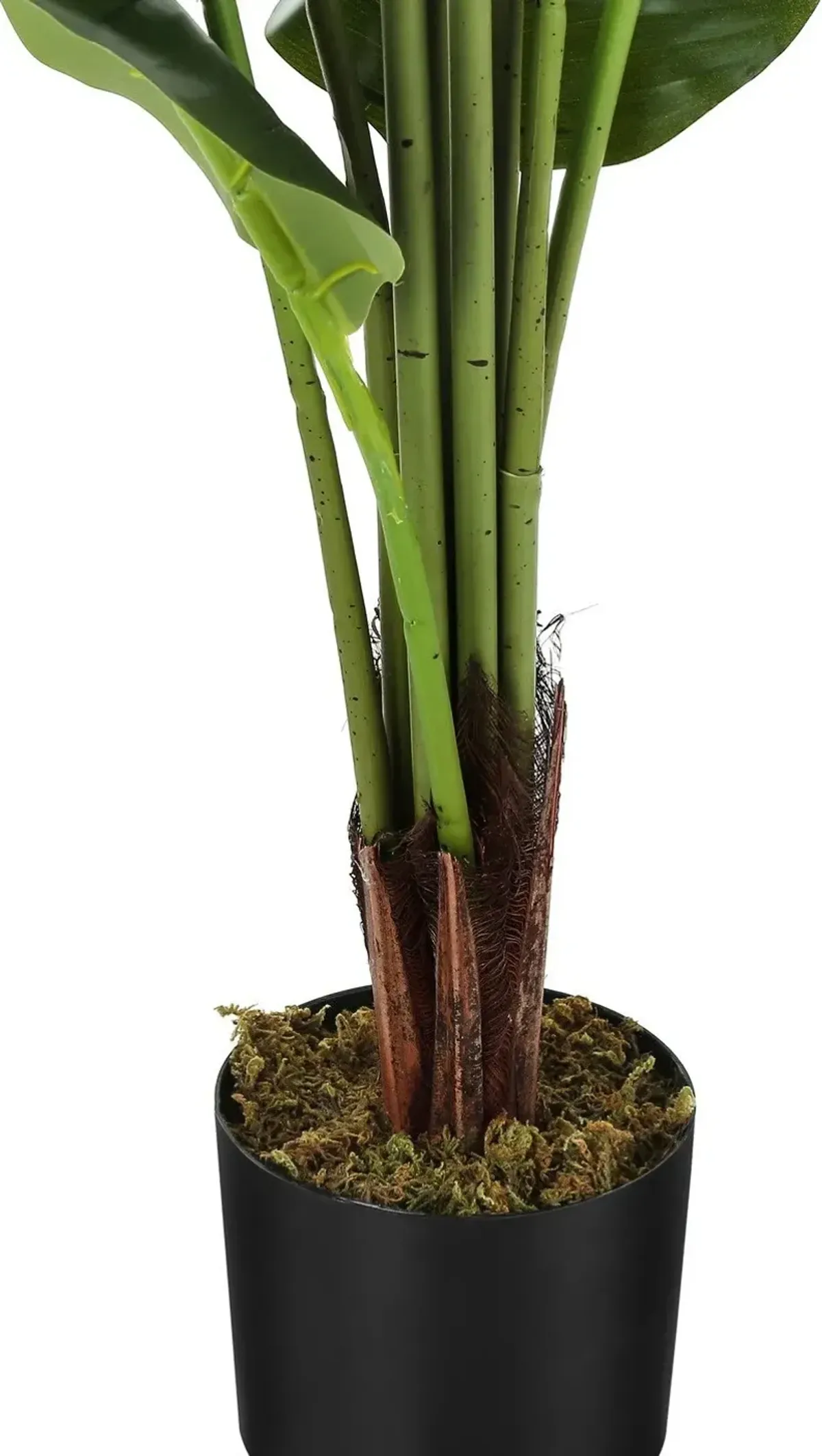 Faux 4' Strelitzia Tree with Black Planter