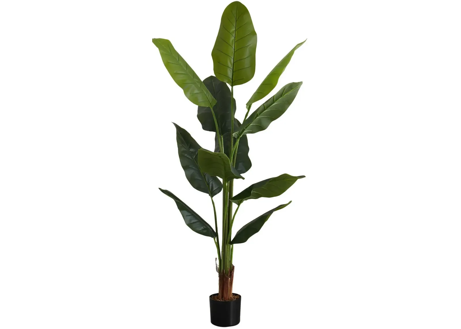 Faux 4' Strelitzia Tree with Black Planter