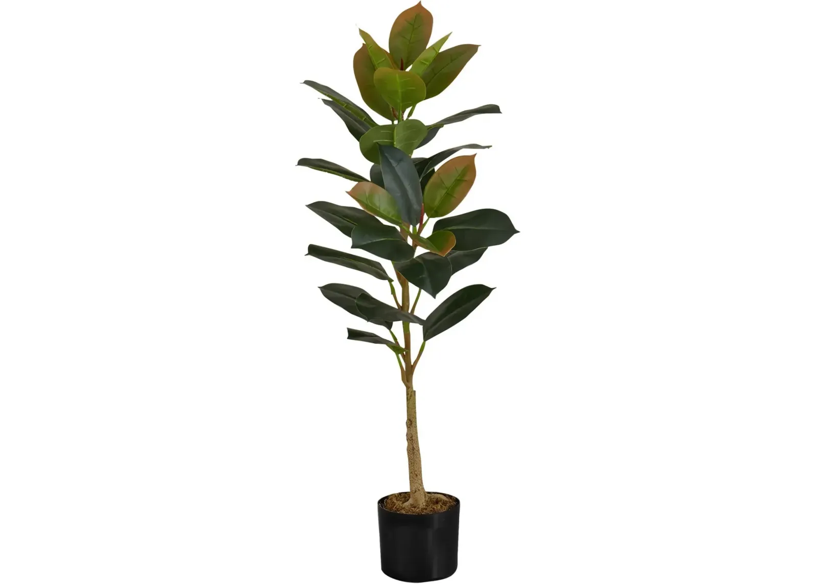 Faux 3' Rubber Tree with Black Planter