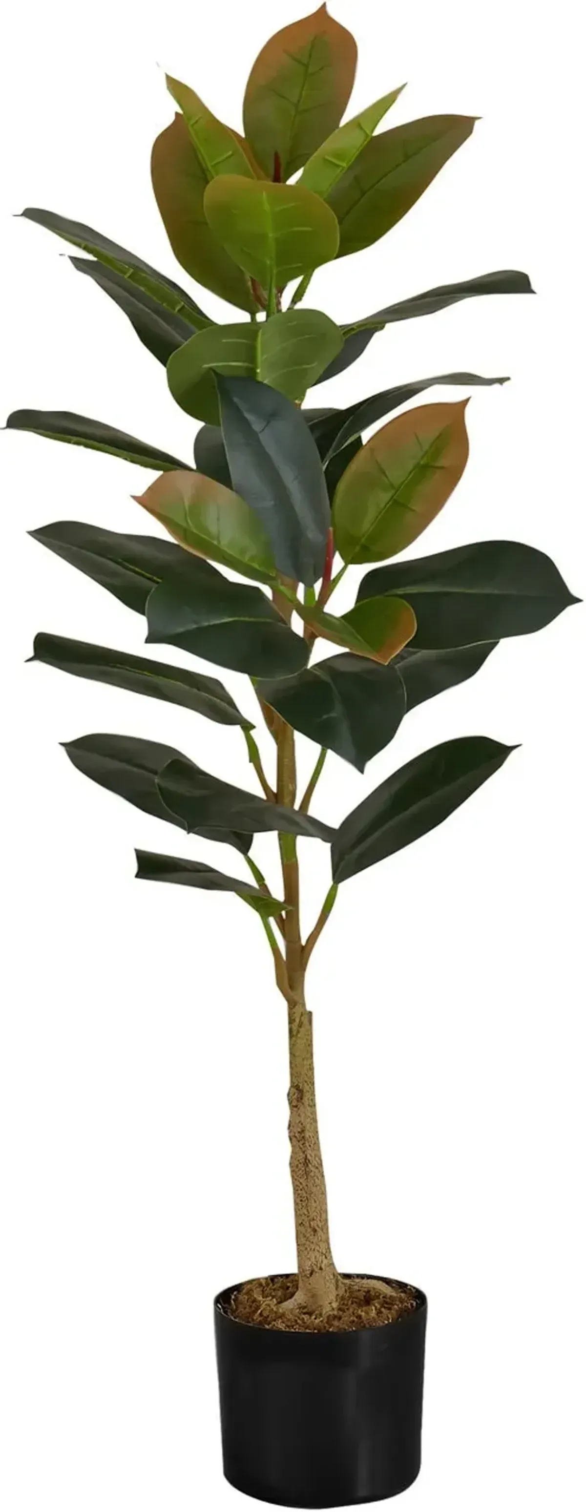 Faux 3' Rubber Tree with Black Planter