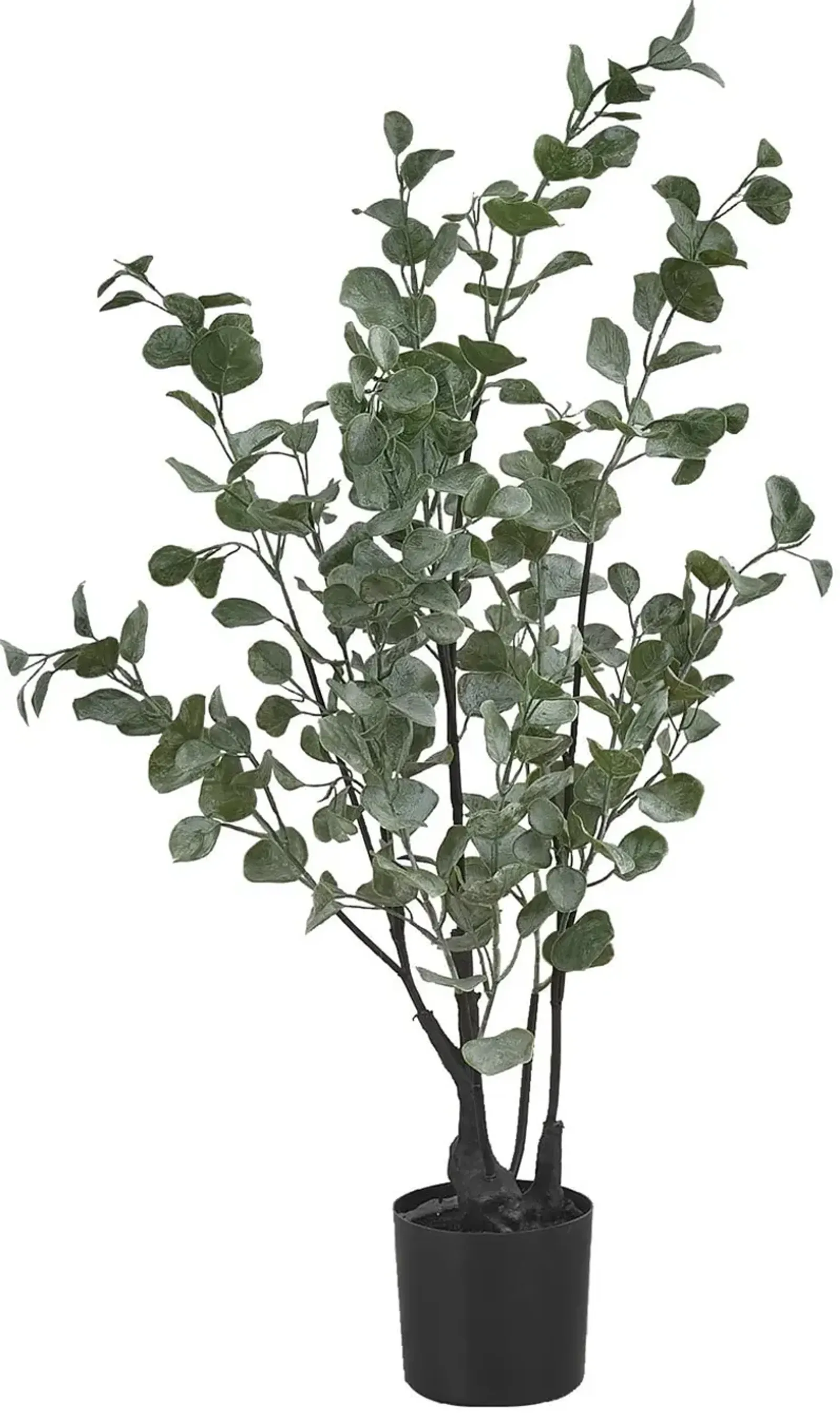 Faux 2' Eucalyptus Tree with Black Planter