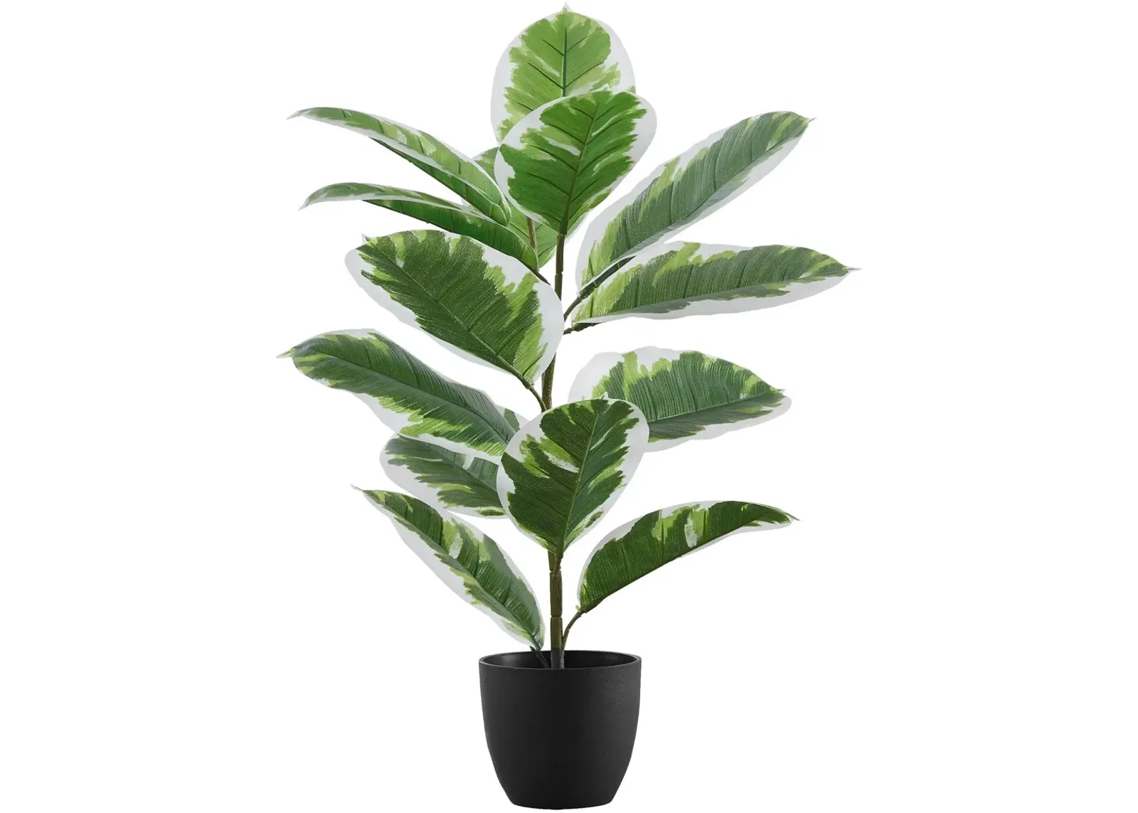 Faux 2' Rubber Tree with Black Planter