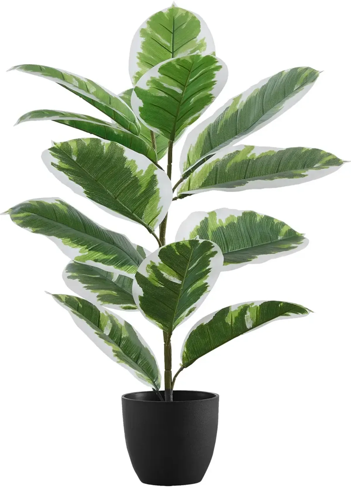 Faux 2' Rubber Tree with Black Planter