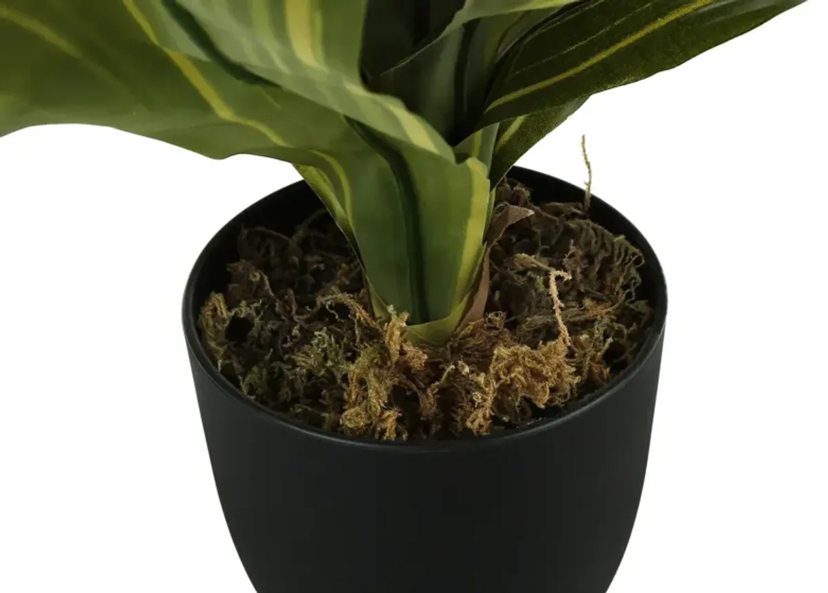 Faux 1' Dracaena Tree with Black Planter