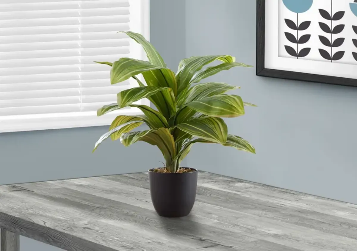 Faux 1' Dracaena Tree with Black Planter