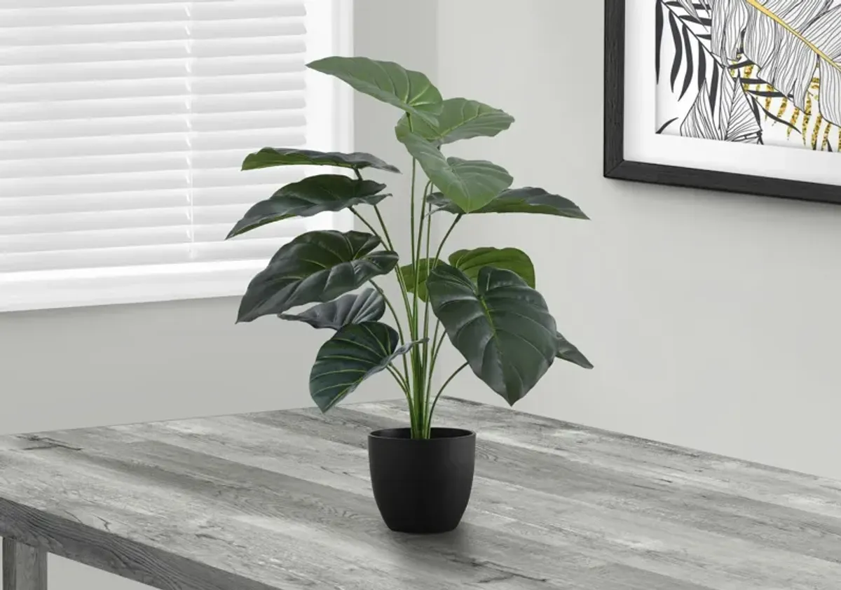 Faux 2' Alocasia with Black Planter