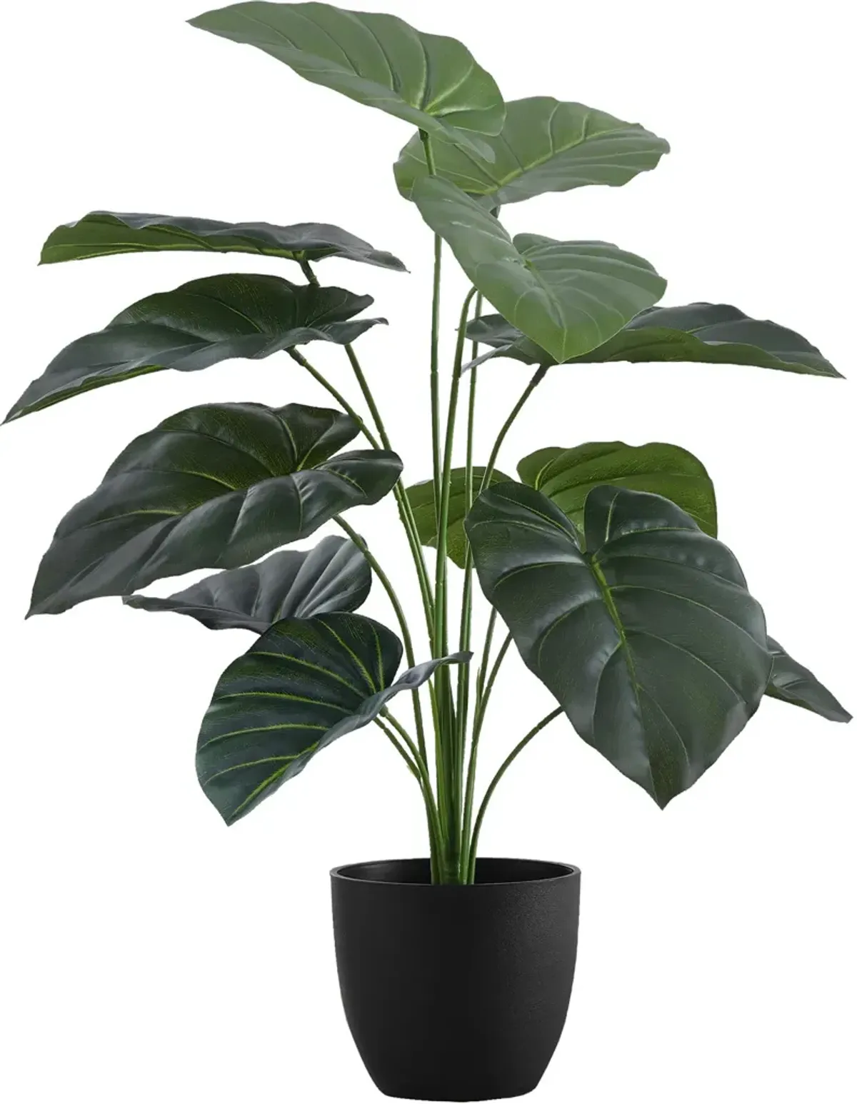 Faux 2' Alocasia with Black Planter