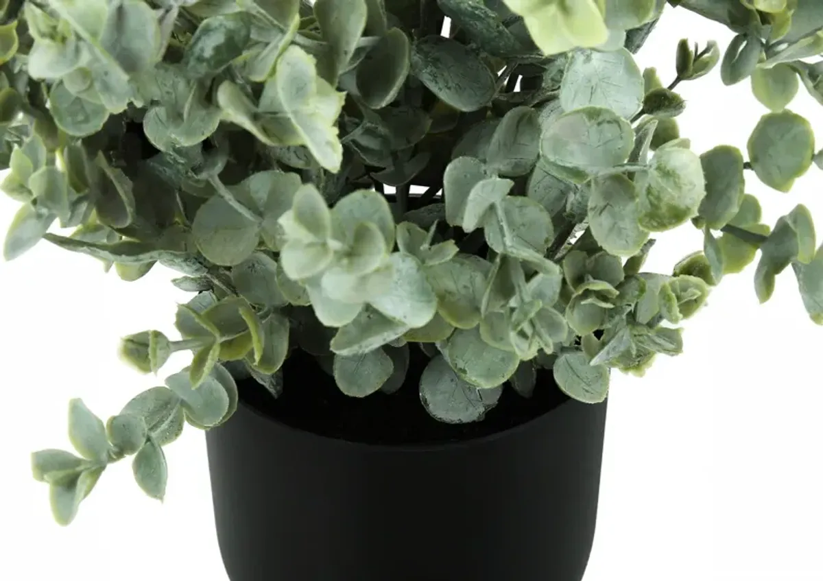 Set of 2 Faux 1' Eucalyptus with Black Planter