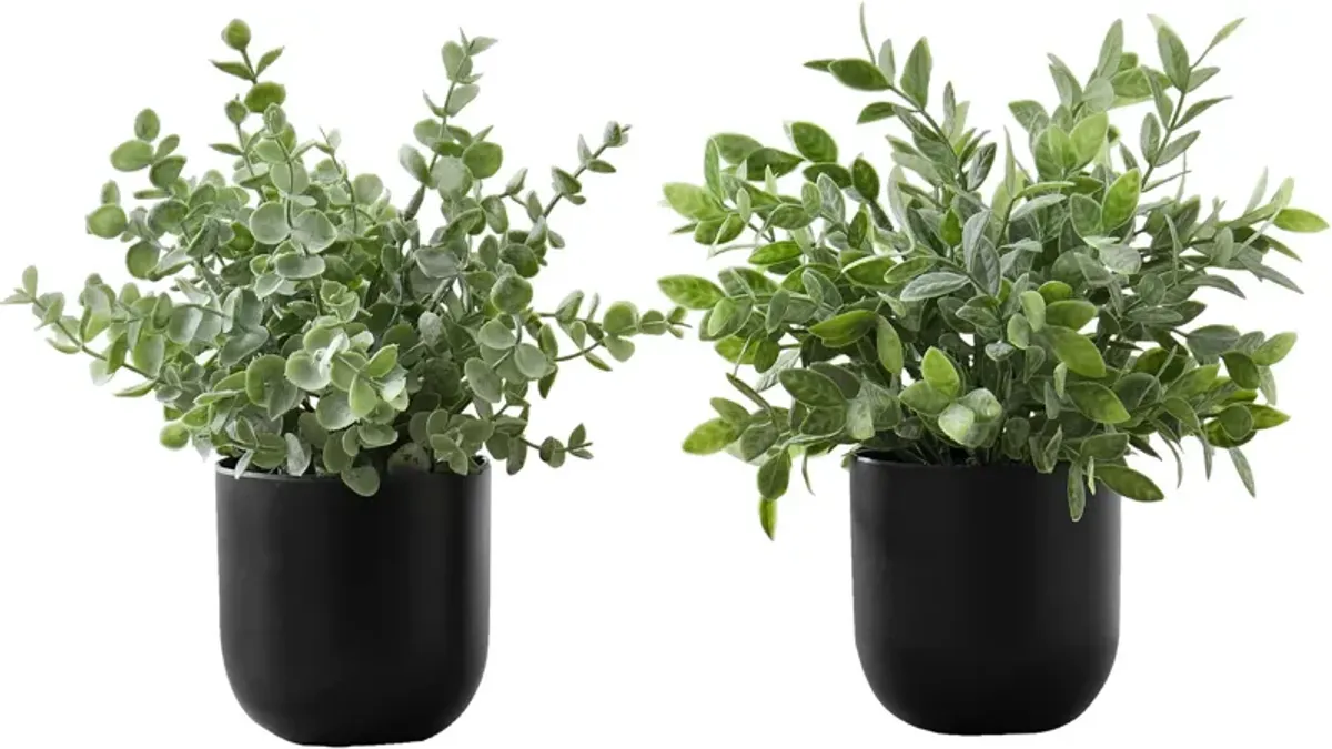 Set of 2 Faux 1' Eucalyptus with Black Planter