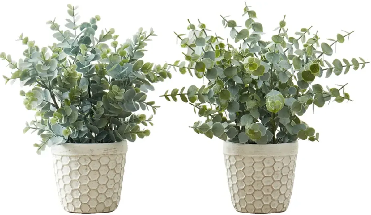 Set of 2 Faux 1' Eucalyptus with White Planter