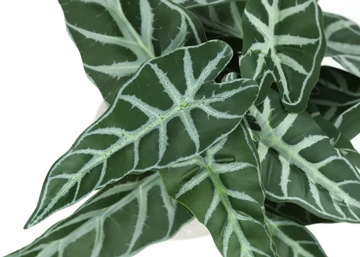 Set of 2 Faux Alocasia with White Planters