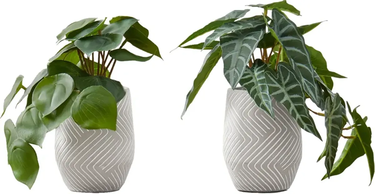 Set of 2 Faux Alocasia with White Planters