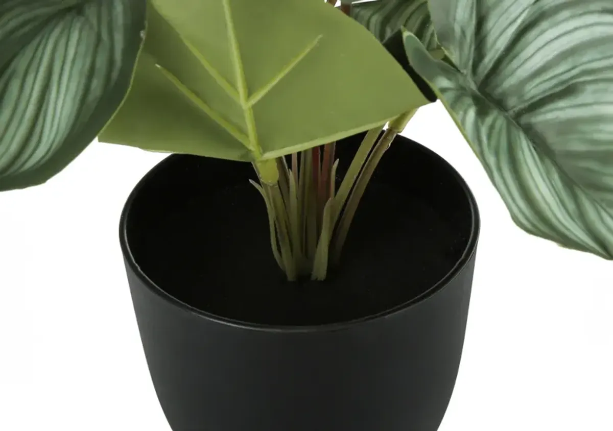 Set of 2 Faux Epipremnum with Black Planters