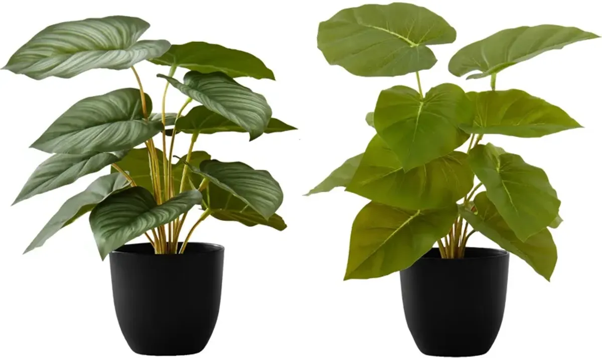 Set of 2 Faux Epipremnum with Black Planters