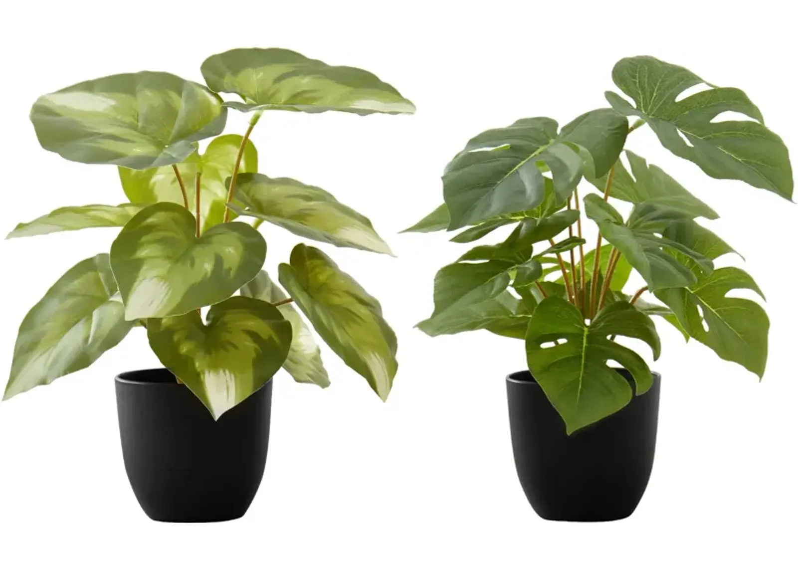 Set of 2 Faux 1' Monstera Plants with Black Planters