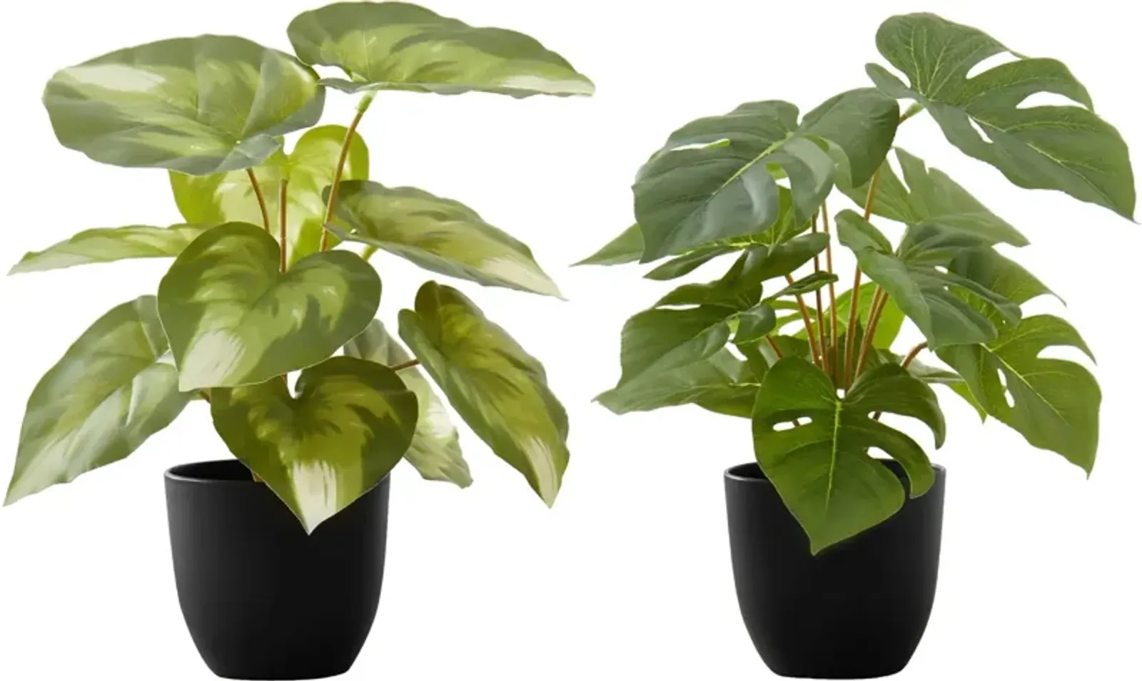 Set of 2 Faux 1' Monstera Plants with Black Planters