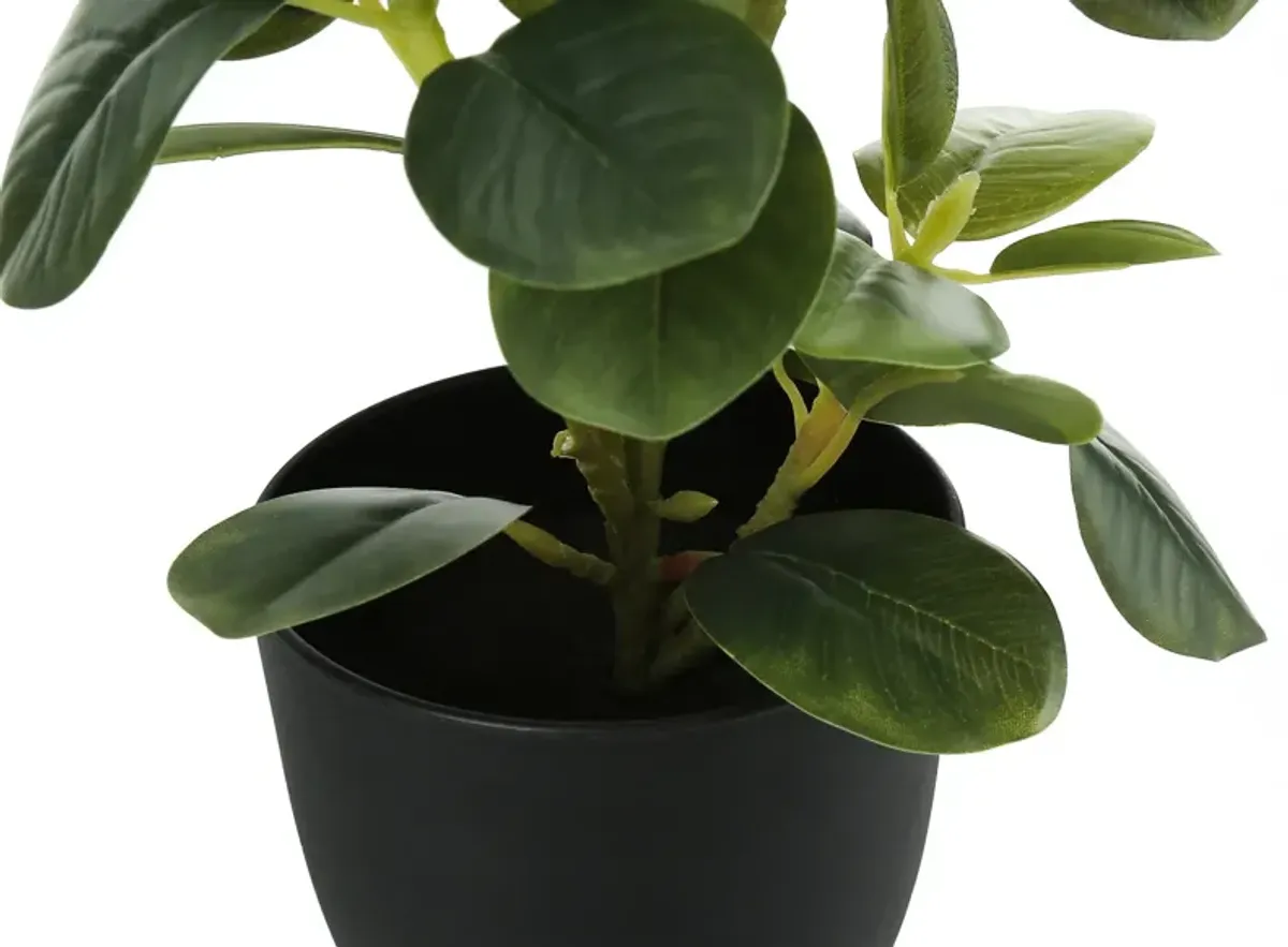 Set of 2 Faux 1' Ficus Tree with Black Planters