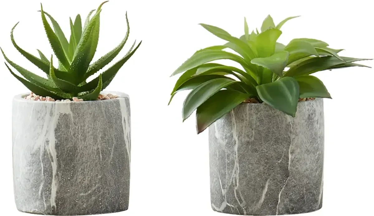 Set of 2 Faux Succulent with Gray Planters