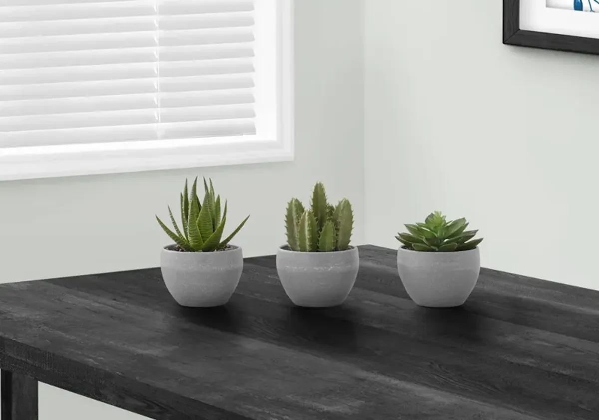 Set of 3 Faux Succulent with Gray Planters