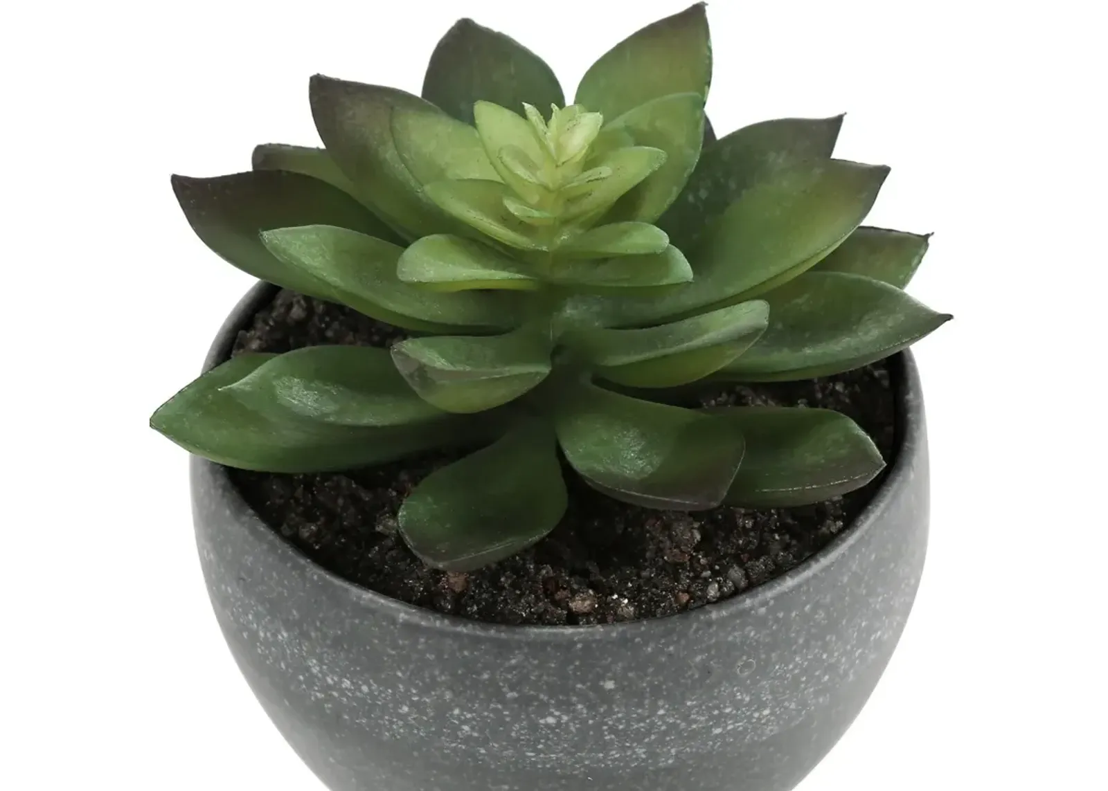 Set of 3 Faux Succulent with Gray Planters