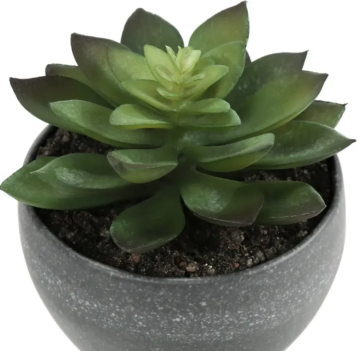 Set of 3 Faux Succulent with Gray Planters