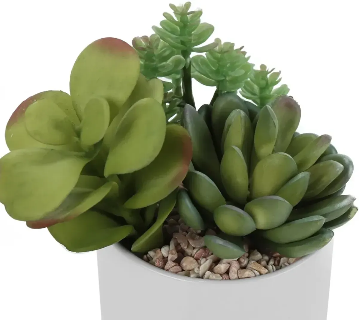 Set of 2 Faux Succulent with White Planters